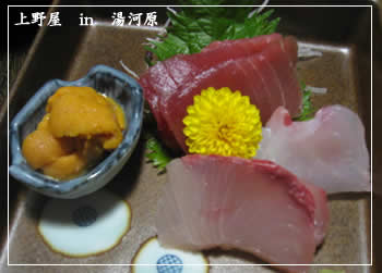������ǥ��ʡ�