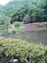 じゅん菜な公園