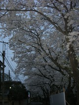 文学の道