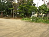 suwada