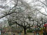 里見公園