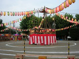 maturi