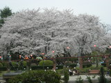 里見公園ライトあぷ