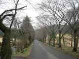 oohirasan