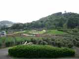 hana1