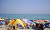 3eb323a9.jpg