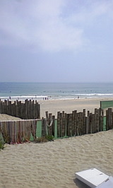 d711509c.jpg