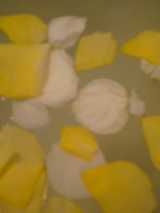 47e36904.jpg