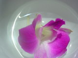 69e6c061.jpg