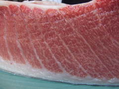 maguro