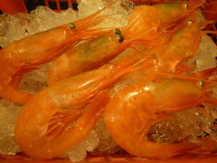 ebi