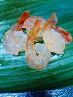 botan