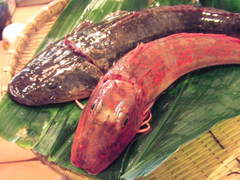 siromi
