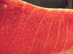 maguro1