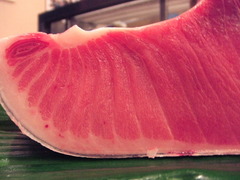 toro