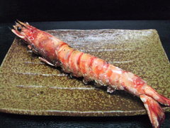 ebi
