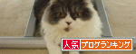 さむいね