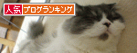 抱っこ!