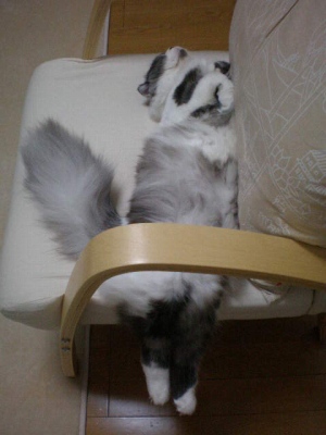 でろ〜ん