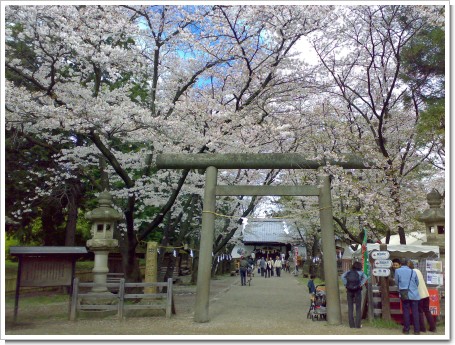 200804203768_edited.jpg