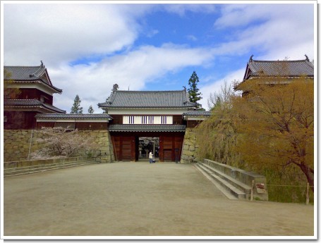 200804203764_edited.jpg