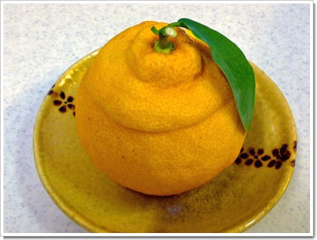 三宝柑 福居袋 三宝柑 福居袋