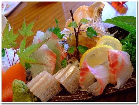 DSCF2539.jpg