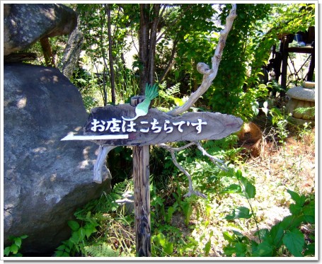 DSCF2824.jpg