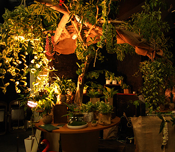 booth