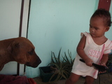 inu2