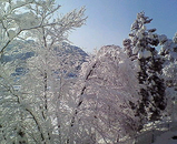 村岡景色2