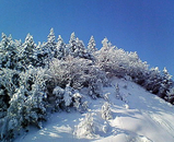 村岡景色1