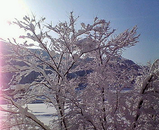 村岡景色4
