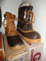 CIMG3239