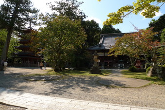 P1020800