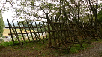 P1020654