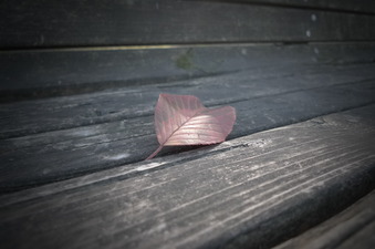 P1020834
