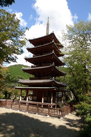 P1020786