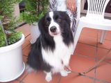 DSCN0758