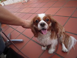 DSCN0740