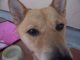 DSCN0786