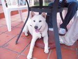 DSCN0669
