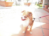 DSCN0750