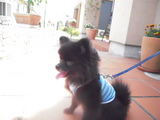 DSCN0747