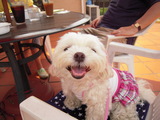 ふーちゃん。