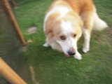 DSCN0751
