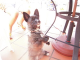 DSCN0762