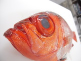 ちょっと前に撮った画像です。