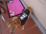 DSCN0788