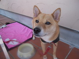 DSCN0787